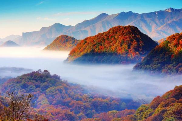 11月，看湖北，層林盡染！