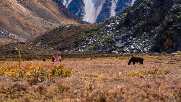 川西海拔最高最大最藍的海子——亞莫措根