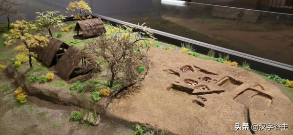 上山尋稻——走進國博“稻·源·啟明”上山文化考古特展