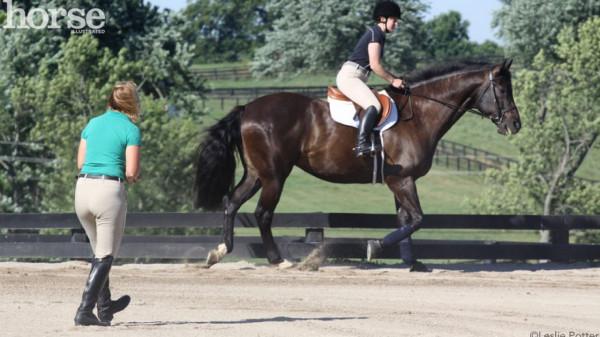 提升馬術騎乘中的平衡感 提升馬術騎乘中的平衡感