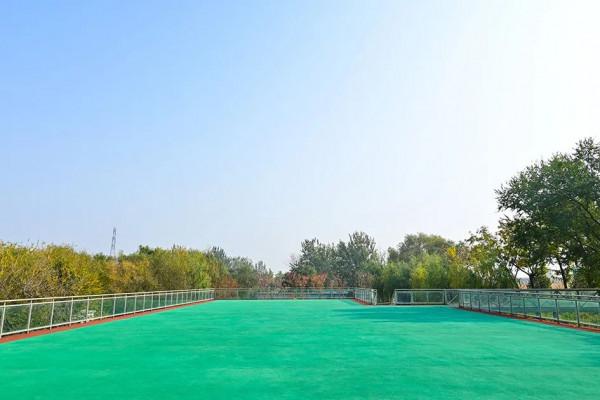 獨一無二！公園裡也能跑火車！京西這處免費的森林公園，值得玩