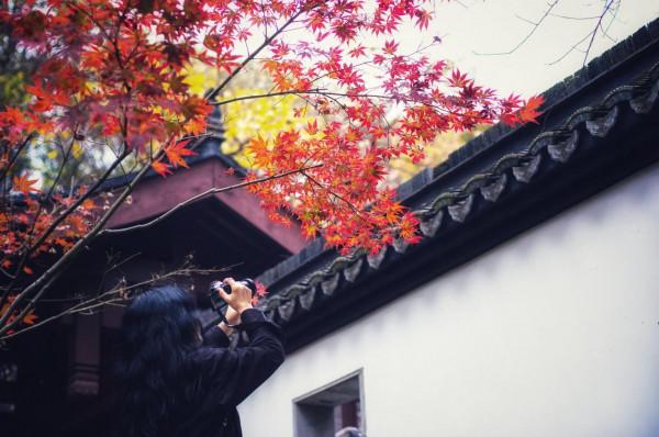 今年秋天一定要去下南京棲霞山，中國四大賞楓勝地之一，風景絕美