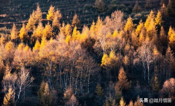 如果沒有疫情，此刻我勸你一定要去一趟北京...