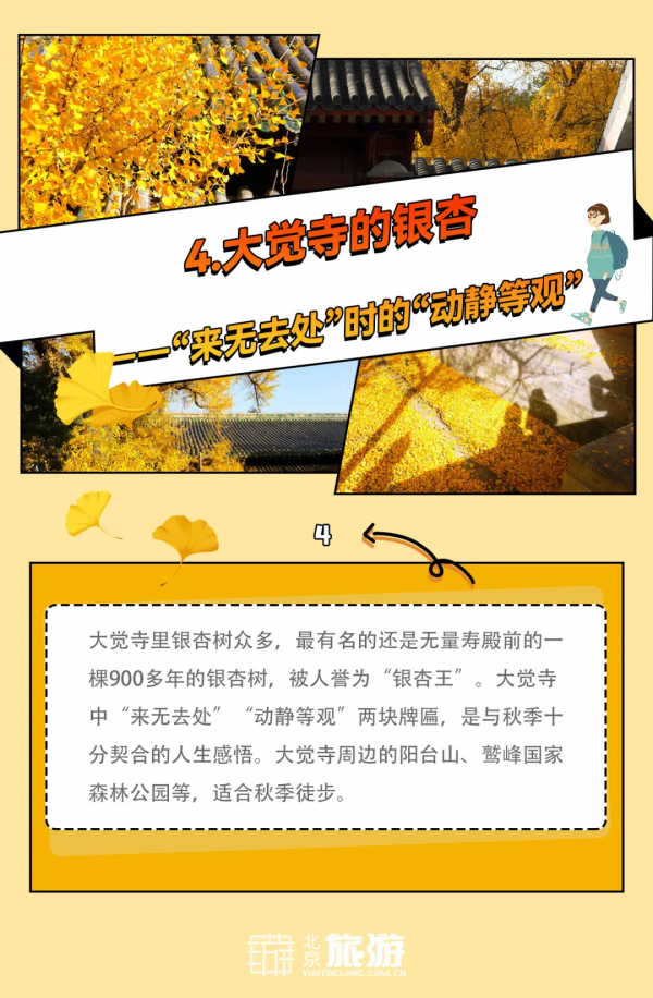 官宣！2021北京賞秋指南！14條路線帶你夢迴北平！