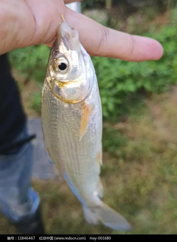 《陝西黃河泥塑館》軍乾釣魚臺遊記