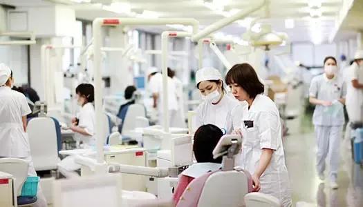 “日本”冷知識,帶你看看真實的日本 “日本”冷知識,帶你看看真實的日本