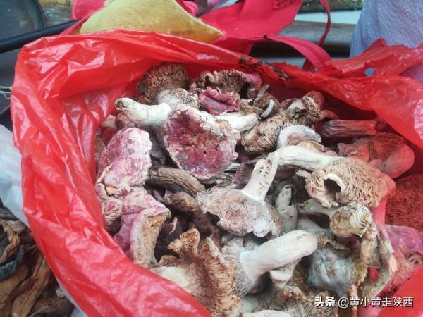 陝南人民是不是比較潔癖？陝川渝交界處的這座小城，有點古靈精怪