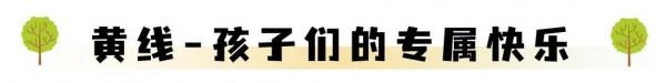 磨山最新玩法!在森林裡飛越穿梭,好刺激 磨山最新玩法!在森林裡飛越穿梭,好刺激