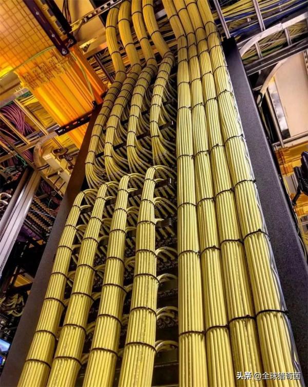 35張“活久見”的完美圖片，強迫症瞬間被治癒了