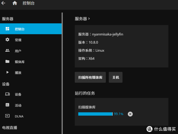 jellyfin新選擇，Nyanmisaka出品，即裝即硬解