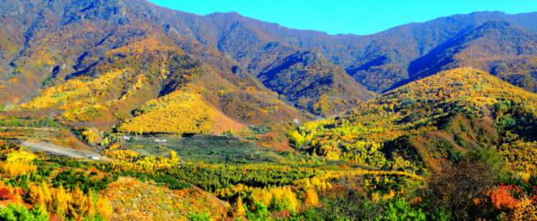 中秋時節到門頭溝賞秋，住民宿，來一段詩意之旅~