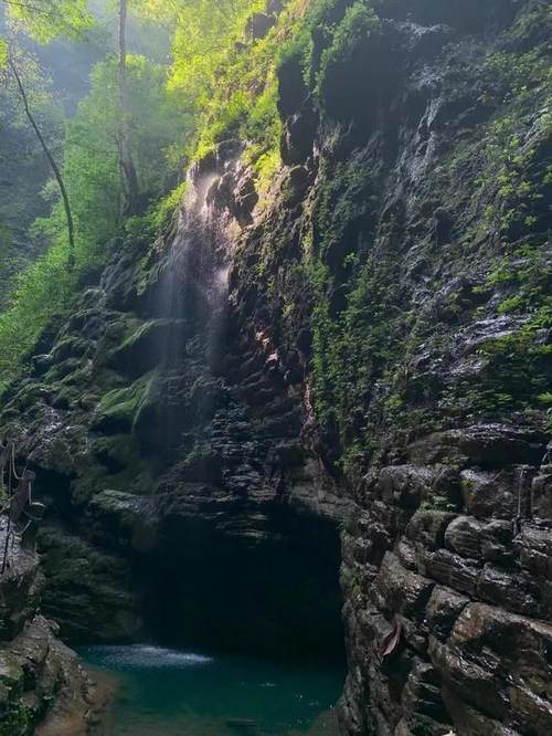 詠菊七絕三十首(30韻) 詠菊七絕三十首(30韻)