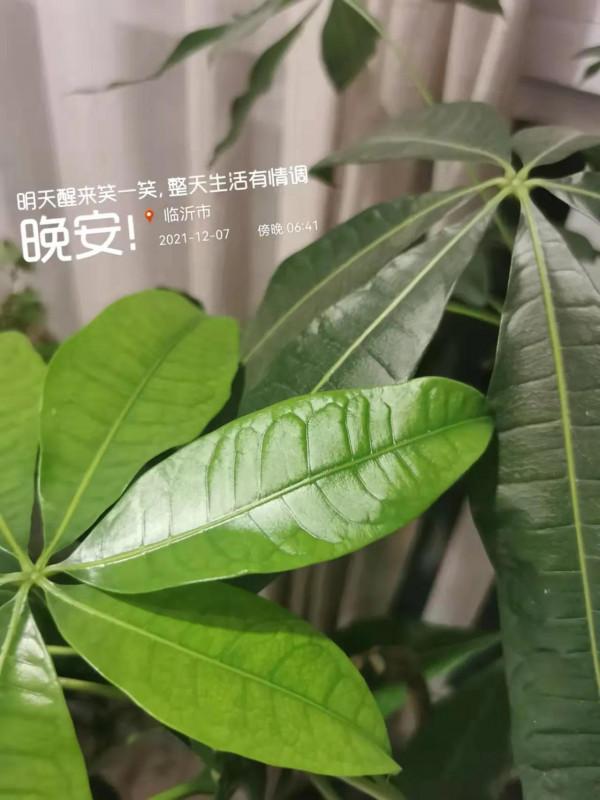 修行日誌12~你有多久沒用眼睛看到過這世界？