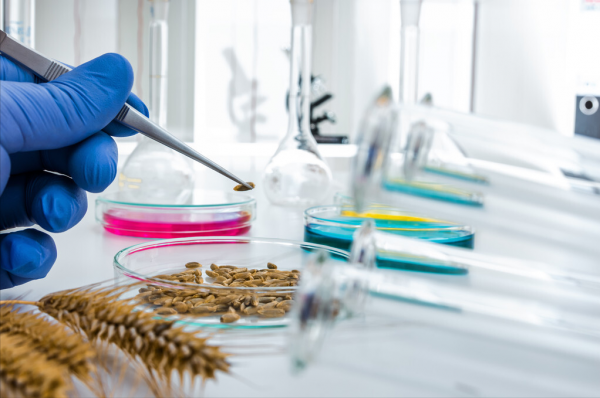 轉基因技術的利與弊 轉基因技術的利與弊