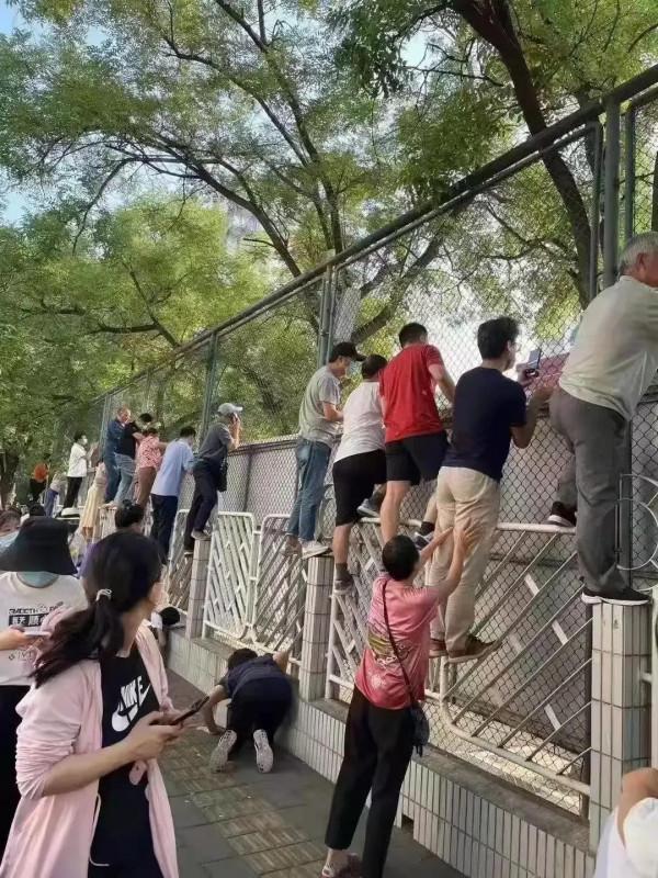 “雙減”落地，官方統計7成家長焦慮緩解，公辦學校的機會來了？