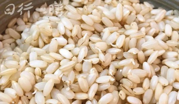 藥膳|煮米飯時撒一把它,通腸道、控血糖,營養翻了不止一倍 藥膳|煮米飯時撒一把它,通腸道、控血糖,營養翻了不止一倍