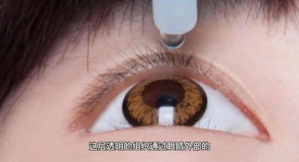 這些身體裡的小秘密你真的知道嗎？