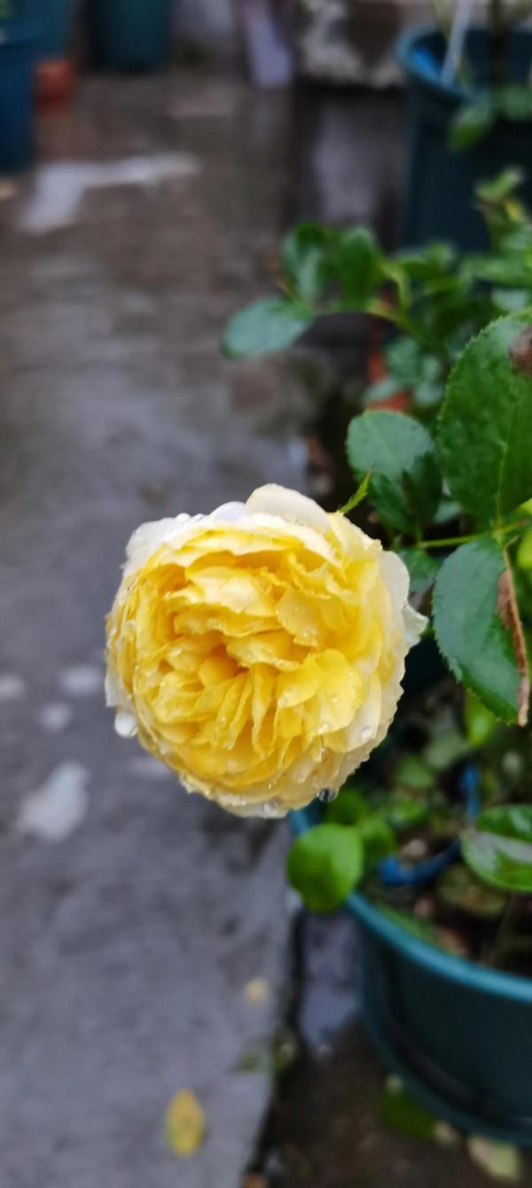 不是老歌好聽了，而是聽歌的人有故事了