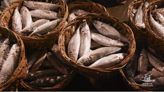 你從未聽說過的潮汕魚飯
