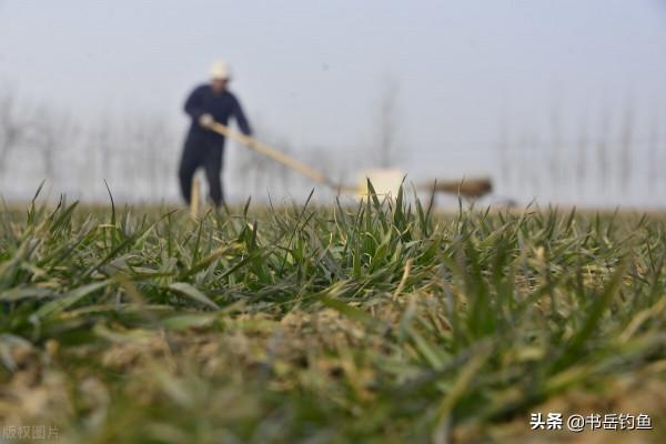 早春釣陽不一定對，老釣手給出看法和見解！釣友：怪不得釣不到魚