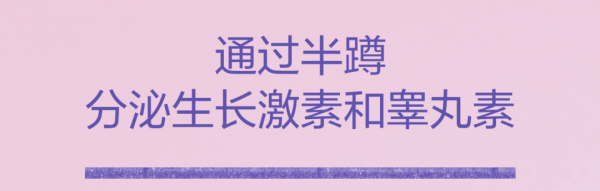 抗衰老方面，“半蹲”是必須掌握的肌肉鍛鍊