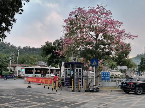 信用卡網貸負債人、失信被執行人為什麼會越來越多 信用卡網貸負債人、失信被執行人為什麼會越來越多