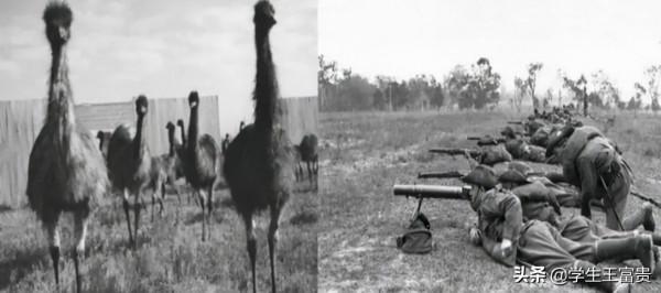 世界十大戰爭之最