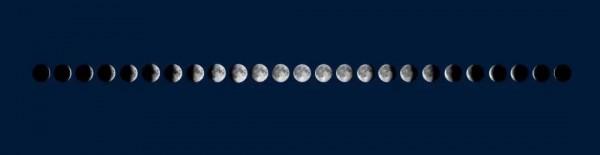 北京號小課堂 | 這些關於今年賞月的知識點,您get了嗎? 北京號小課堂 | 這些關於今年賞月的知識點,您get了嗎?