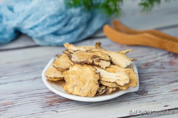 人還未老，腰已先老？送你六味中藥，補氣補血，溫通筋脈