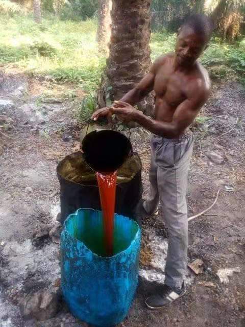 安哥拉往事(85) 安哥拉往事(85)