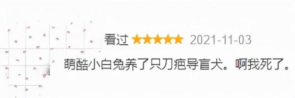 一口氣刷5集，不愧是拿下9.0的高分甜劇