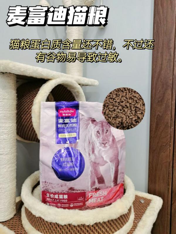 5年養貓經驗，手把手教你怎麼選貓糧