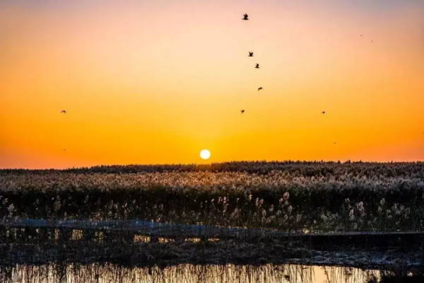 國內這10個絕美的旅行地，去過5個就是旅行達人，你去過幾個呢？