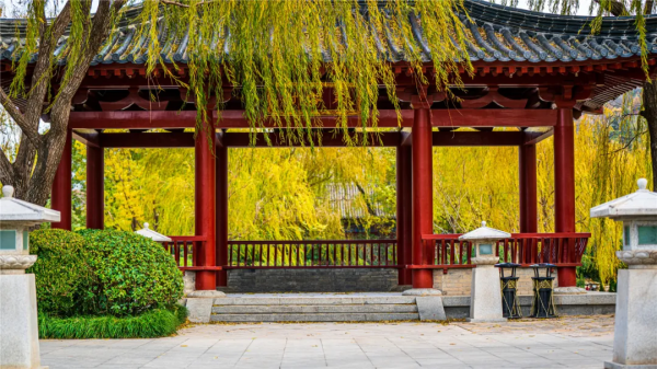 華清宮的初冬美景，驚豔了誰的時光？