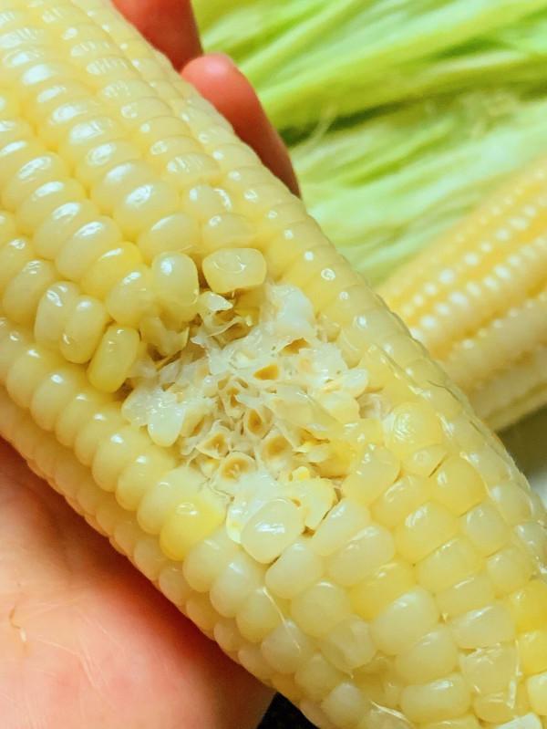 曾紅極一時的微波爐，為何如今“存在感”幾乎為零？該淘汰了嗎？