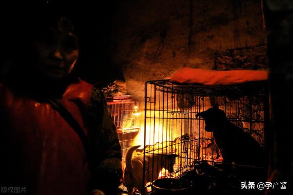 甘肅72歲老爺子流浪在上海街頭，靠一手行雲流水的毛筆字震撼網友