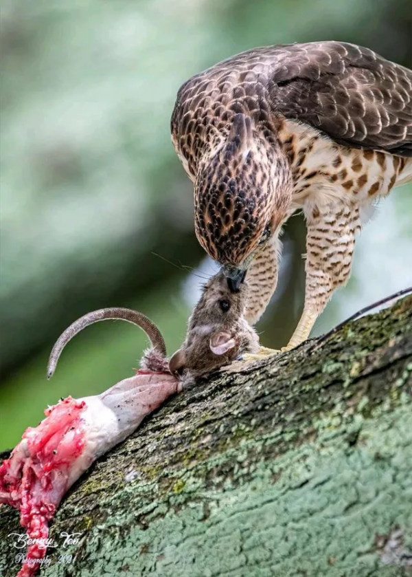28張圖片帶你看看你不瞭解的世界，看完整個人都舒服了