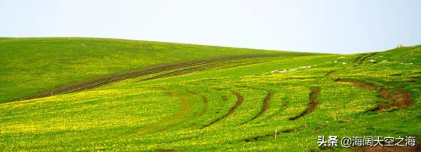 這裡是新疆|全畫幅美景(2) 這裡是新疆|全畫幅美景(2)
