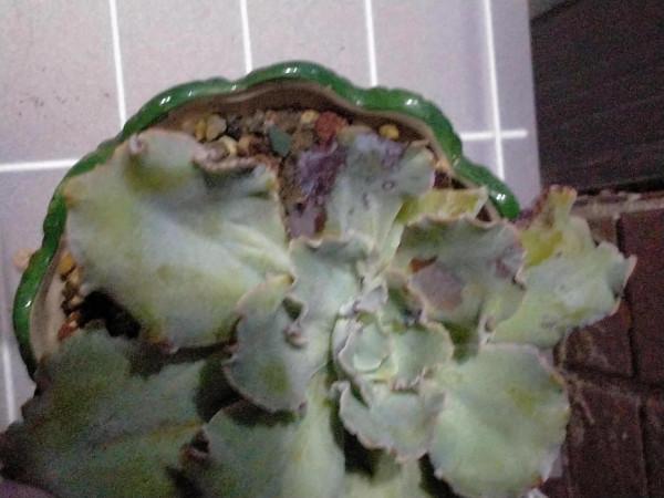 今年天氣真夠嗆