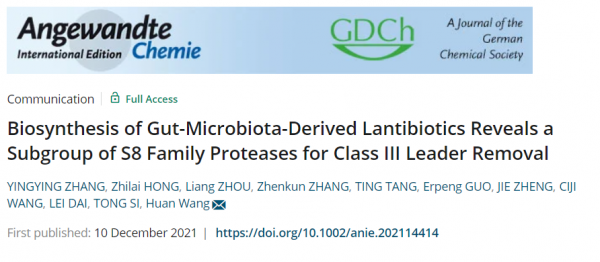 腸道菌群暗藏“江湖”，核糖體肽巧扮“殺器”