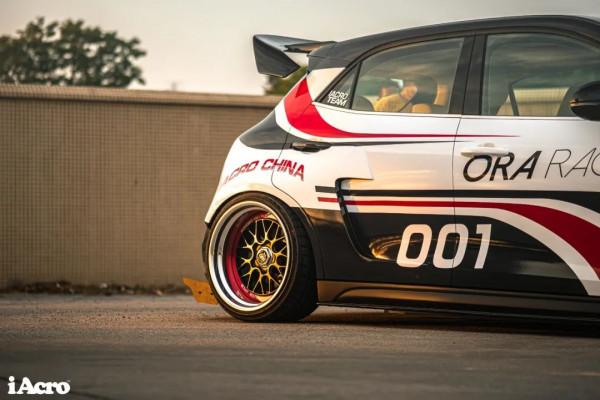 關於好貓“如虎”,你想知道的都在這裡了 關於好貓“如虎”,你想知道的都在這裡了