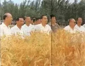 1976年1月8日，敬愛的周總理與世長辭，他一生為國為民，鞠躬盡瘁