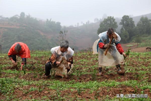 今天農曆八月十三，下雨好不好？有什麼預兆？看老祖宗怎麼說