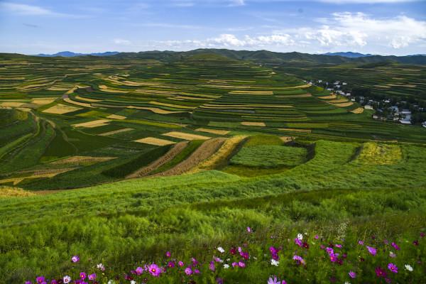 行走甘南藏地，觀察洮河流域人群的生活變遷史