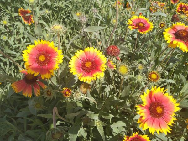 上了年紀注意“三宜三不宜”，益於身體健康有助延年益壽