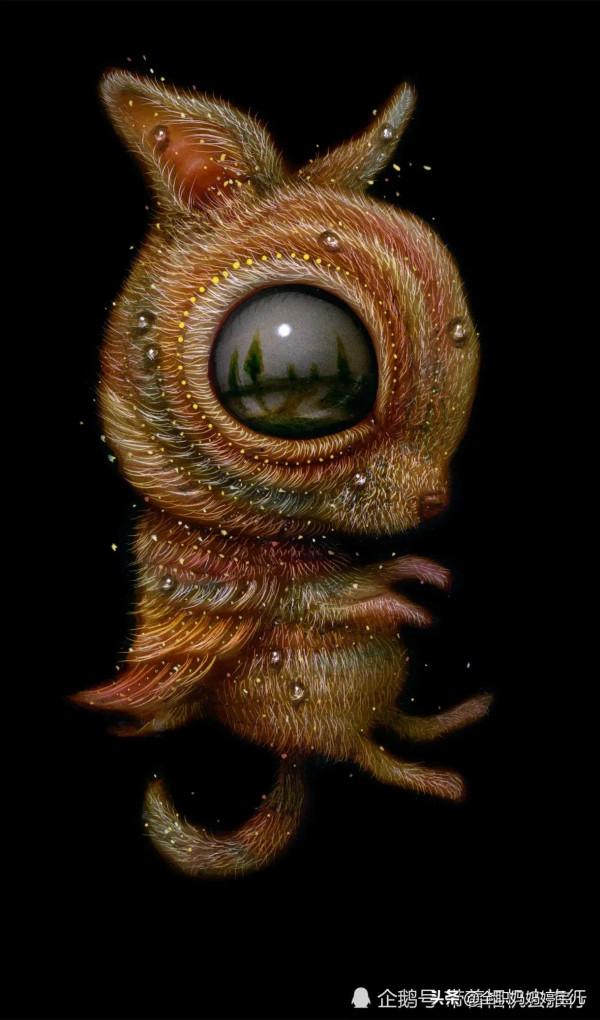 分享——稀奇古怪的鳥