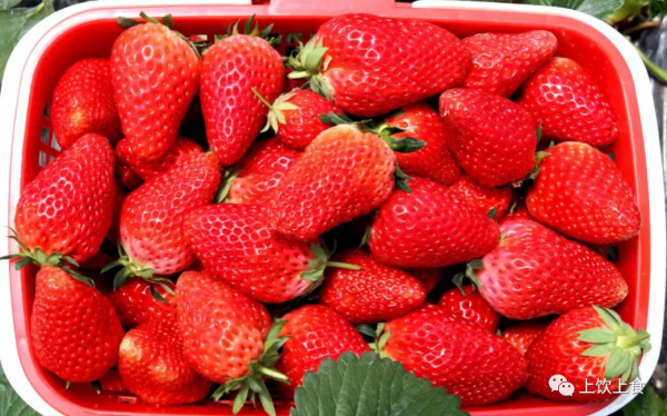 這幾種食物千萬不要放冰箱，容易加快變質