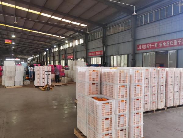 四川省棉麻集團：借力新零售 助農保增收