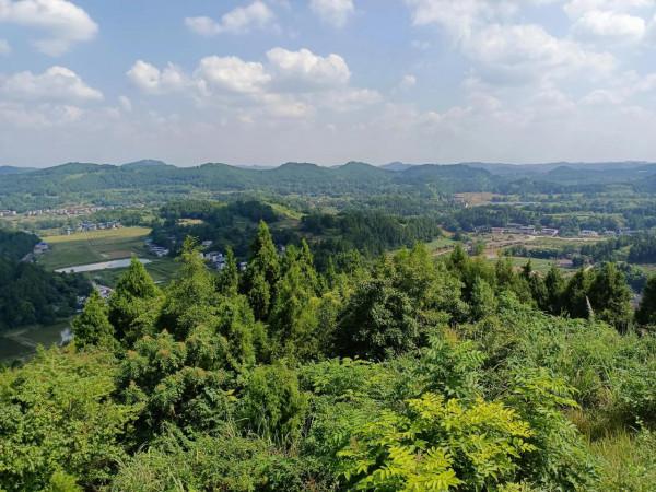 你知道四川盆地的盆底在哪嗎? 你知道四川盆地的盆底在哪嗎?