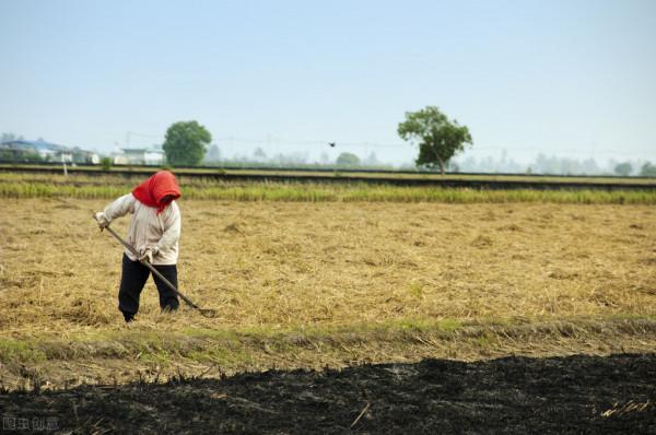 虛靈的五指山(四) 虛靈的五指山(四)